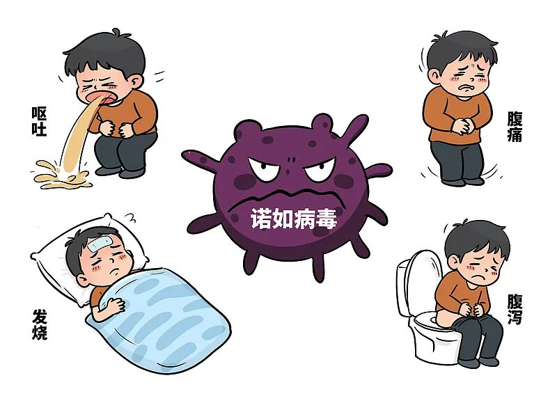 图片12331.png
